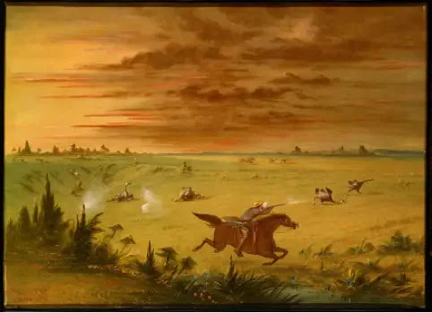 ダチョウ狩り、ブエノスアイレス - アウカ - ジョージ・キャトリン

Source:
Chasse à l'autruche, Buenos Aires - Auca - George Catlin