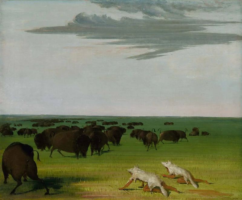 狼皮の仮面の下のバイソン狩り - ジョージ・キャトリン

Source:
Chasse au bison sous le masque de peau de loup - George Catlin