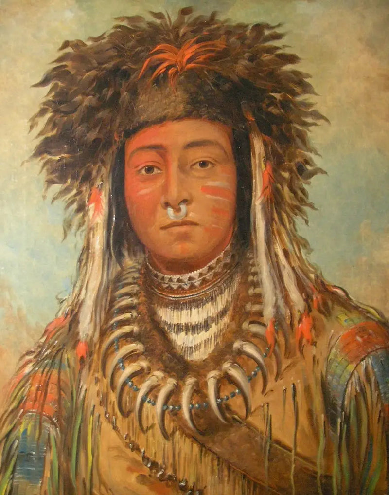 シェフ・デ・ガルソン - オジブウェイ - ジョージ・キャトリン

Source:
Chef des garçons - Ojibbeway - George Catlin
