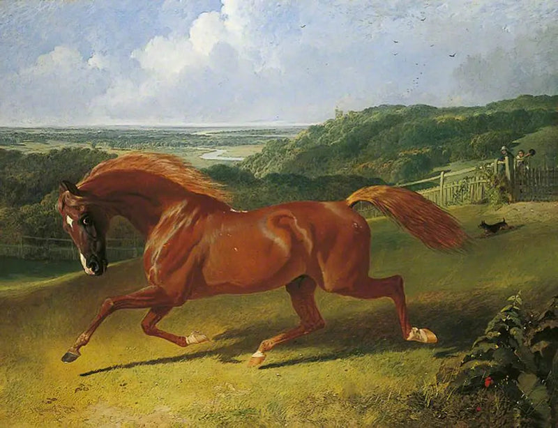 ジョン・フレデリック・ヘリング Sr.による馬が野原を駆ける絵画

Source:
Cheval au galop dans un champ - John Frederick Herring, Sr.