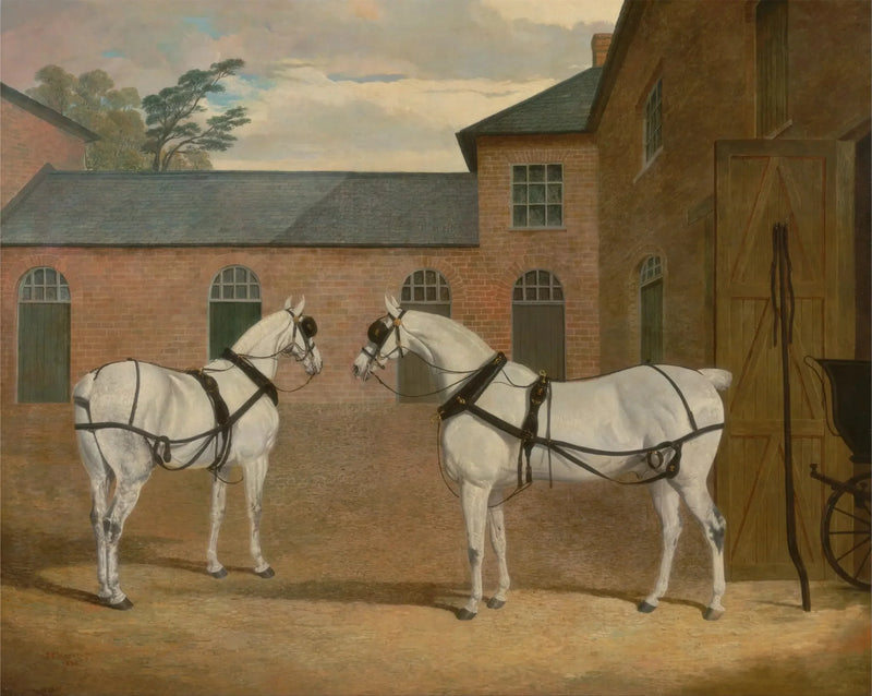 CHEVAUX_DE_CAL_CHE_GRIS_DANS_LA_COUR_DES_CARROSSES_DE_PUTTERIDGE_BURY_HERTFORDSHIRE_50x60