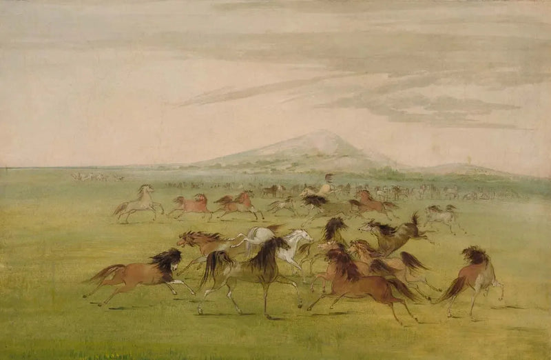 ジョージ・キャトリンによる野生の馬の絵画

Source:
Chevaux sauvages en jeu - George Catlin