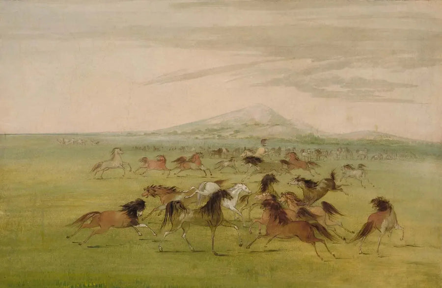 ジョージ・キャトリンによる野生の馬の絵画

Source:
Chevaux sauvages en jeu - George Catlin