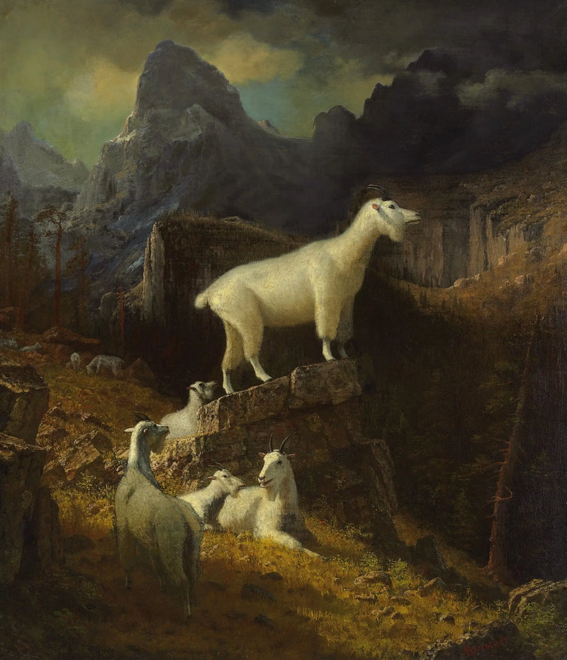 ロッキー山脈のヤギ - アルバート・ビアシュタット

Source:
Chèvres des montagnes Rocheuses - Albert Bierstadt