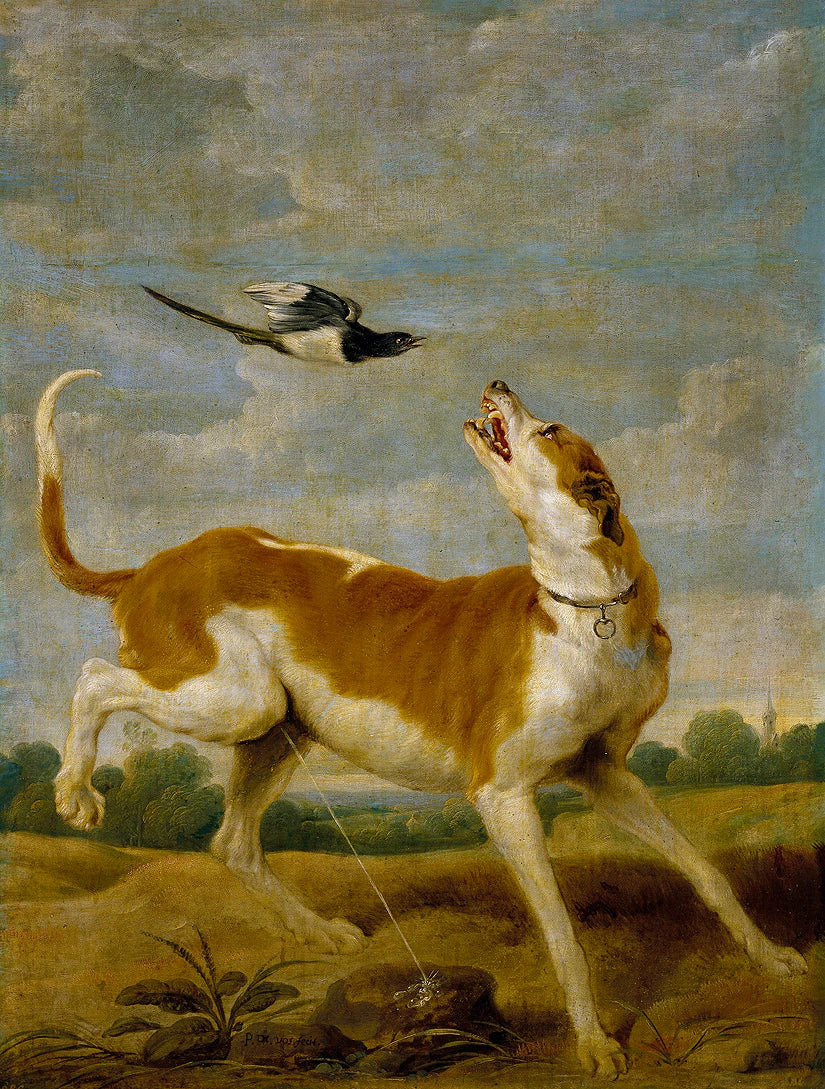 Le chien et la pie - Paul de Vos