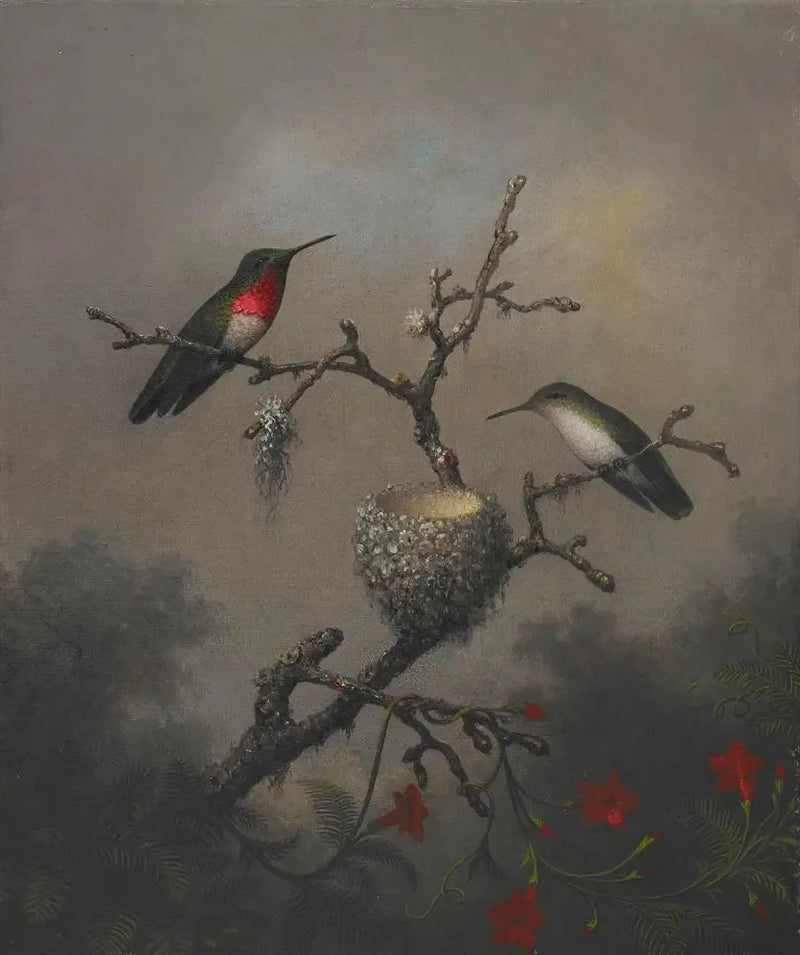 ルビーネックレスコバルト - マーティン・ジョンソン・ヒード

Source:
Colibri à gorge rubis - Martin Johnson Heade