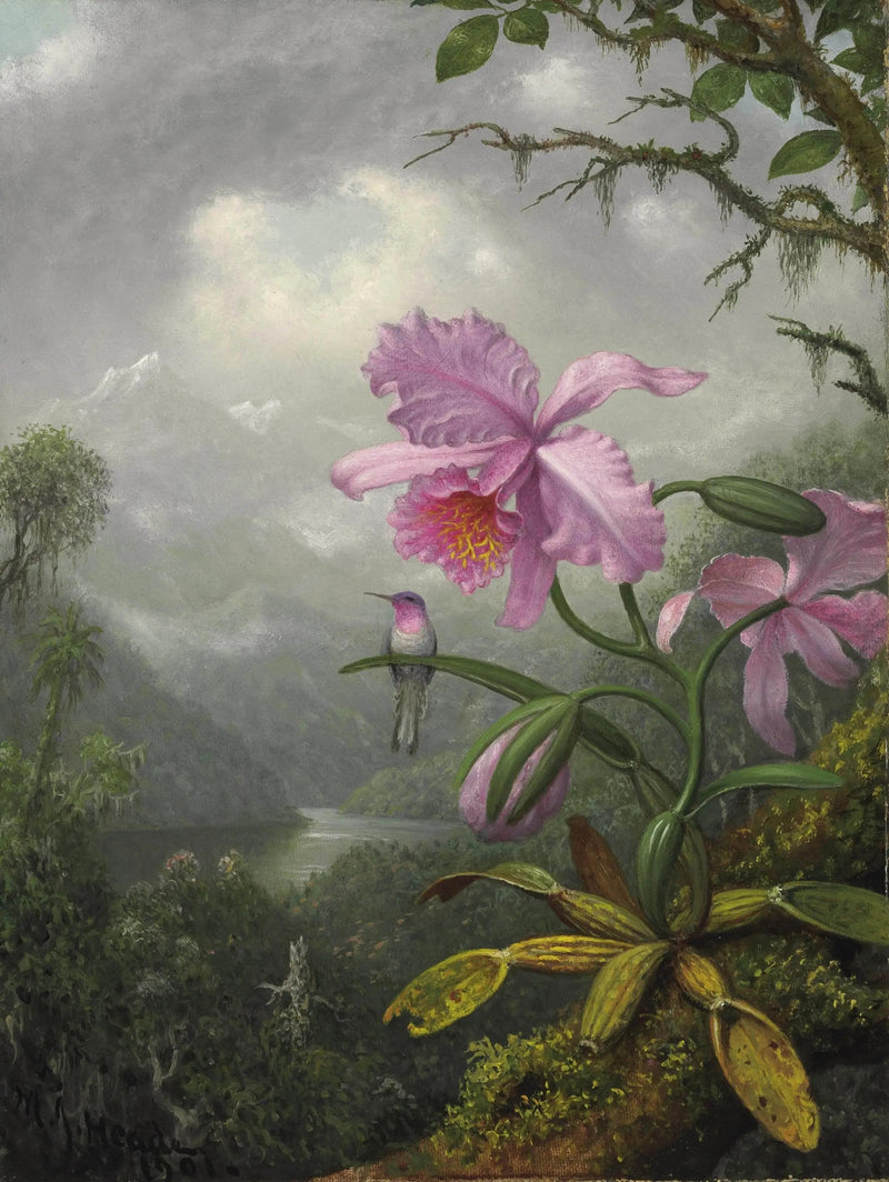 蘭の花にとまるコリブリ - マーティン・ジョンソン・ヒード

Source:
Colibri perché sur la plante d'orchidée - Martin Johnson Heade