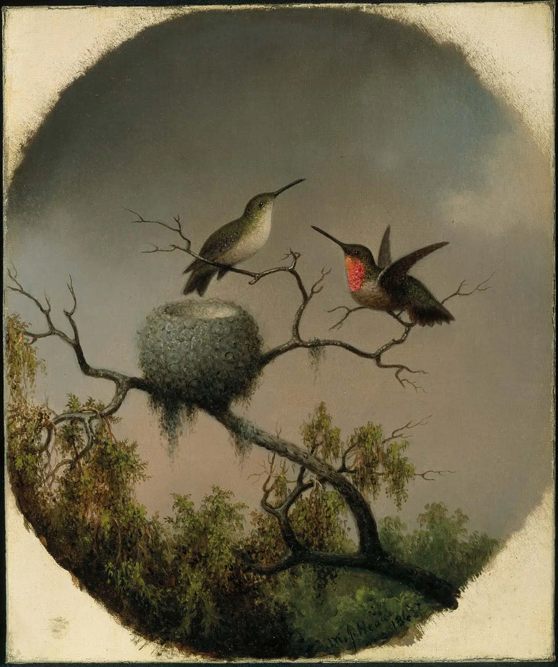 巣のあるコリブリ - マーティン・ジョンソン・ヒード

Source:
Colibris avec nid - Martin Johnson Heade