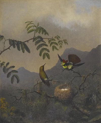 Coquette à volants - Martin Johnson Heade - Alpha Reproduction
