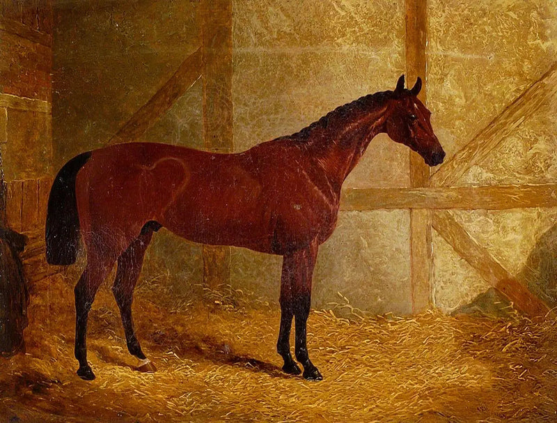 コザーストーン、ダービー優勝者 - ジョン・フレデリック・ヘリング Sr.  

Source:
Cotherstone, vainqueur du Derby - John Frederick Herring, Sr.