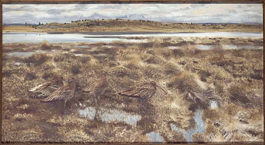 Courlis - Bruno Liljefors image 1 reproduction d’œuvre d’art à l’huile