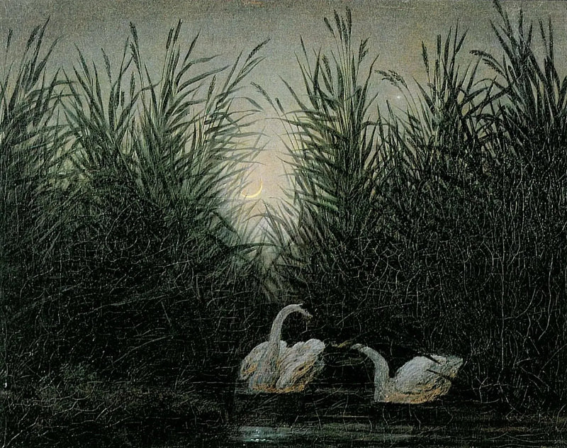 夜明けの最初の光の中の葦の中の白鳥 - カスパー・ダーヴィッド・フリードリヒ