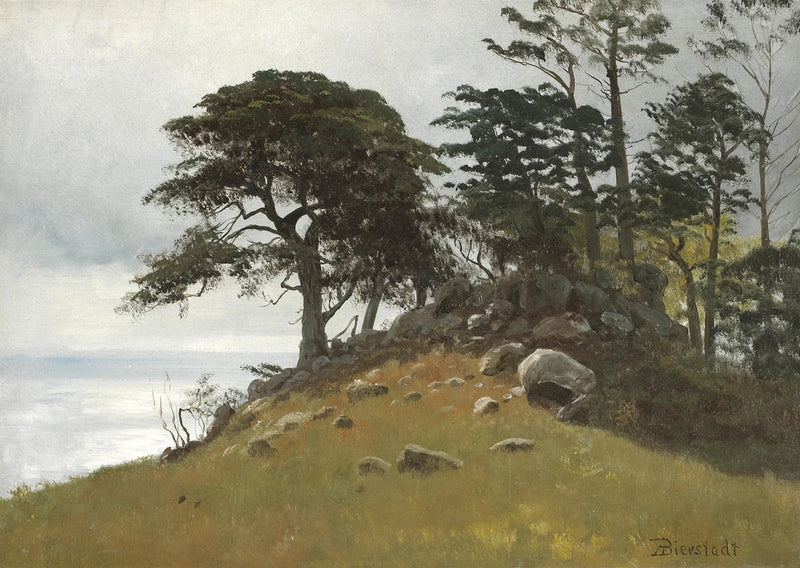 サイプレス・ポイント、モントレー - アルバート・ビアシュタット

Source:
Cypress Point, Monterey - Albert Bierstadt