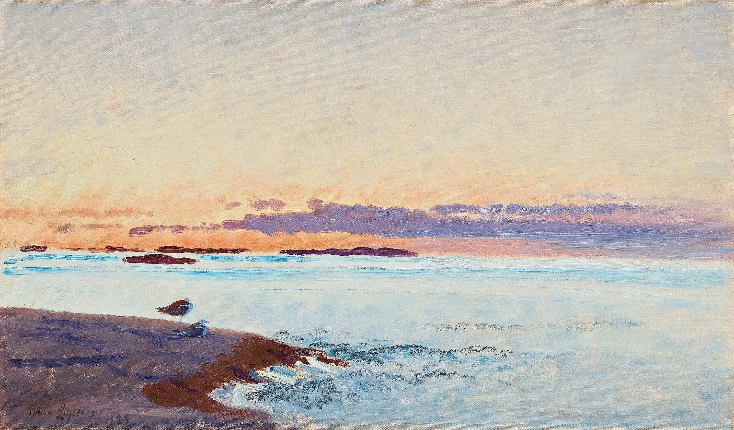 Dans l'archipel - Bruno Liljefors image 1 reproduction d’œuvre d’art à l’huile