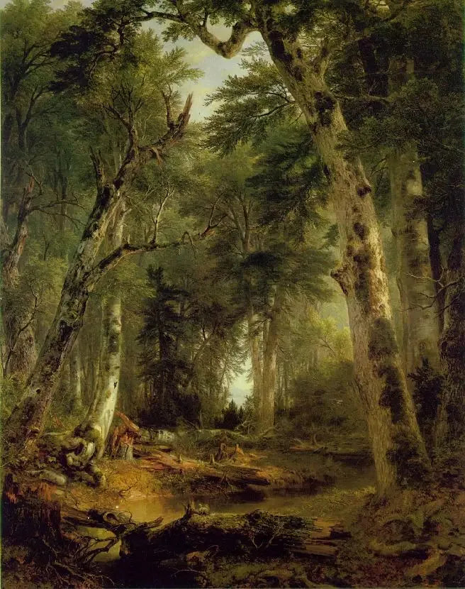 森の中 - アッシャー・ブラウン・デュランド

Source:
Dans les bois - Asher Brown Durand