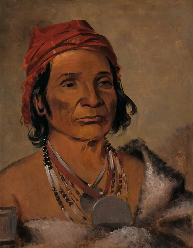 ディープレイク、古い酋長 - ジョージ・キャトリン

Source:
Deep Lake, un vieux chef - George Catlin