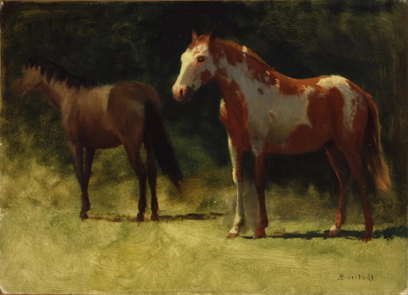 二つの馬 - アルバート・ビアシュタット

Source:
Deux chevaux - Albert Bierstadt