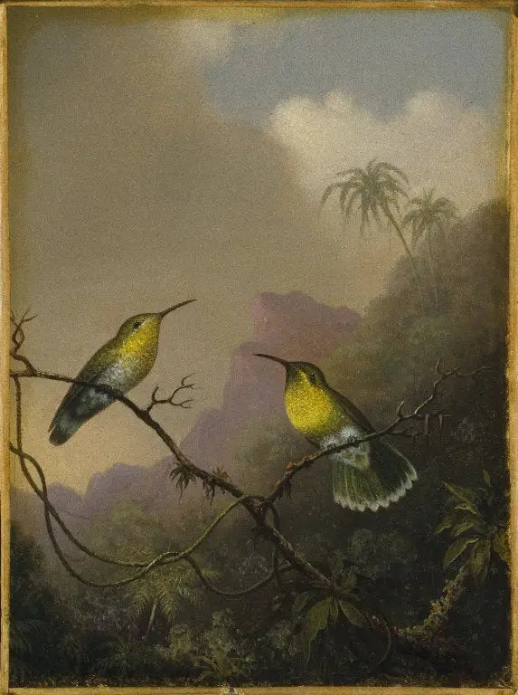 Deux colibris : l'amazili à queue cuivrée - Martin Johnson Heade image 1 reproduction de peinture à l’huile