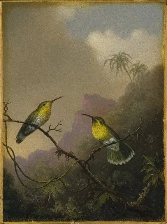 二羽のコバリス：銅色の尾を持つアマジリ - マーティン・ジョンソン・ヒード

Source:
Deux colibris : l'amazili à queue cuivrée - Martin Johnson Heade