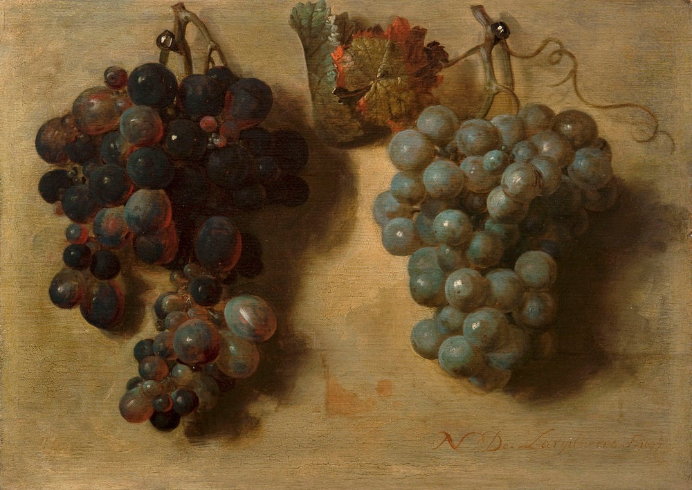 Deux grappes de raisin - Nicolas de Largillière image 1 tableau peint à l’huile sur toile