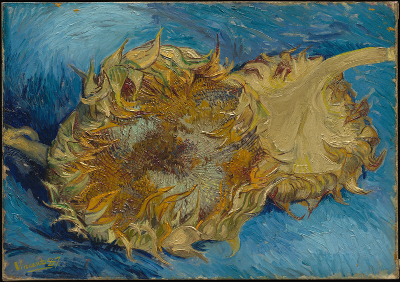 二つのひまわり - Vincent van Gogh