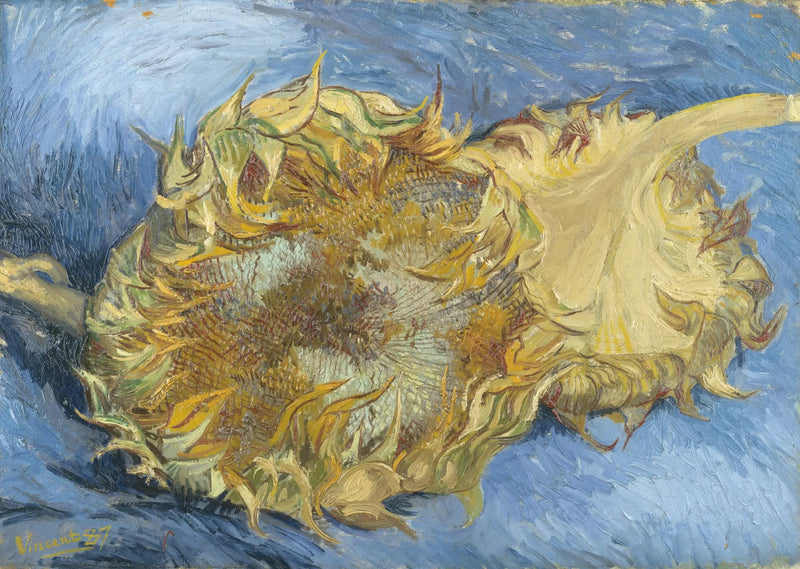 二つのひまわり - Vincent van Gogh