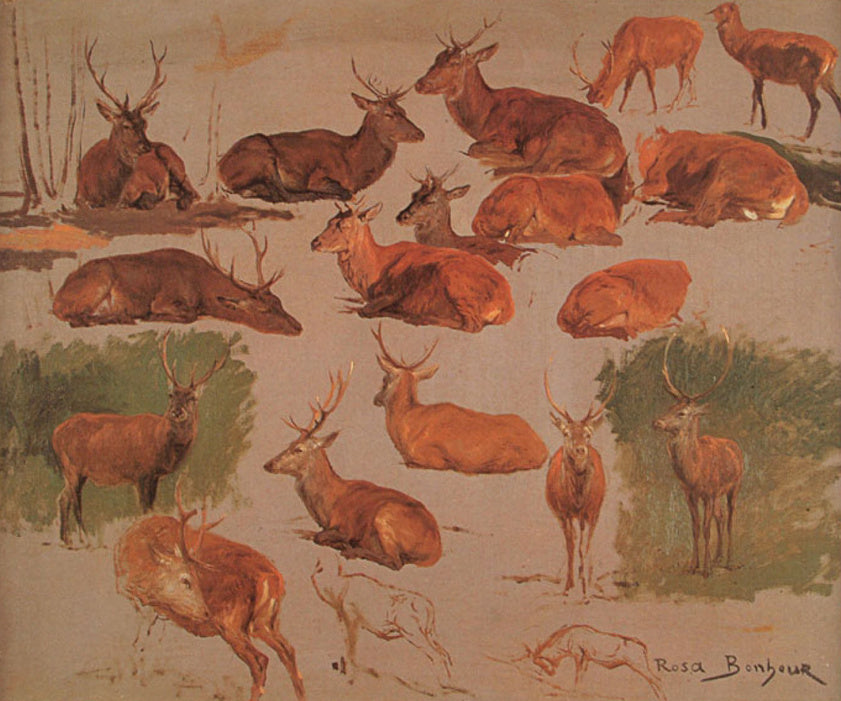 Dix-neuf études de cerfs - Rosa Bonheur - Alpha Reproduction