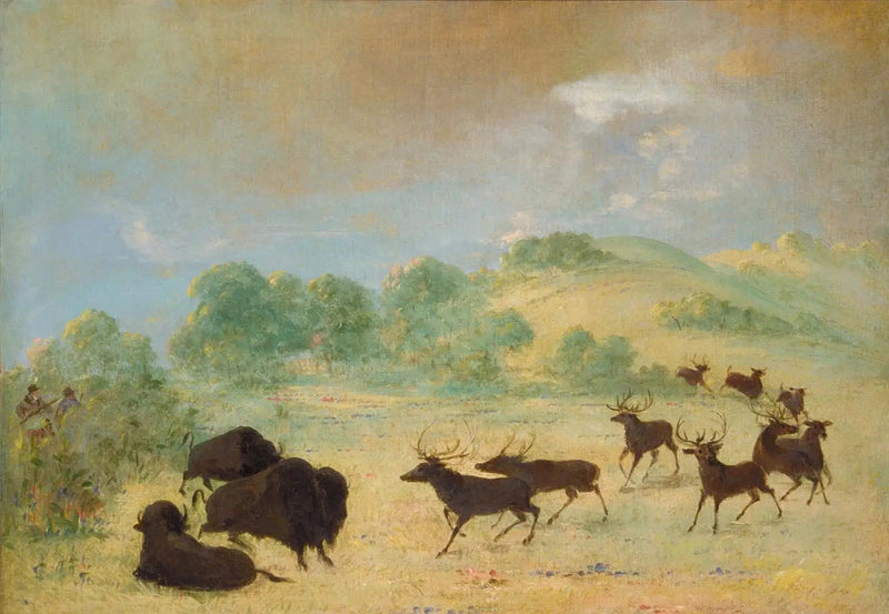 テキサスで出会うエランとバイソン - ジョージ・キャトリン

Source:
Élan et bison faisant connaissance, Texas - George Catlin