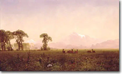 ウィンドリバー地域で草を食むエラン - アルバート・ビアシュタット

Source:
Élans broutant dans la région de Wind River - Albert Bierstadt