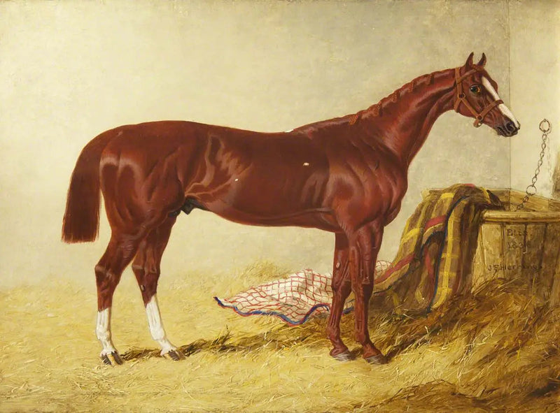 エリス、1836年のセントレジャーステークスの勝者、別の馬房にて - ジョン・フレデリック・ヘリング Sr.  

Source:
Elis, vainqueur du St Leger Stakes, 1836, dans un box détaché - John Frederick Herring, Sr.