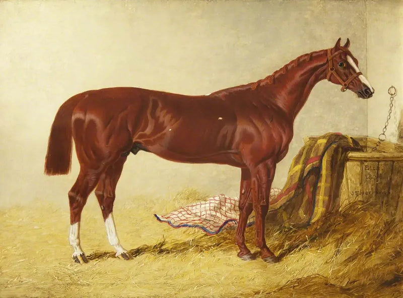 エリス、1836年のセントレジャーステークスの勝者、別の馬房にて - ジョン・フレデリック・ヘリング Sr.  

Source:
Elis, vainqueur du St Leger Stakes, 1836, dans un box détaché - John Frederick Herring, Sr.