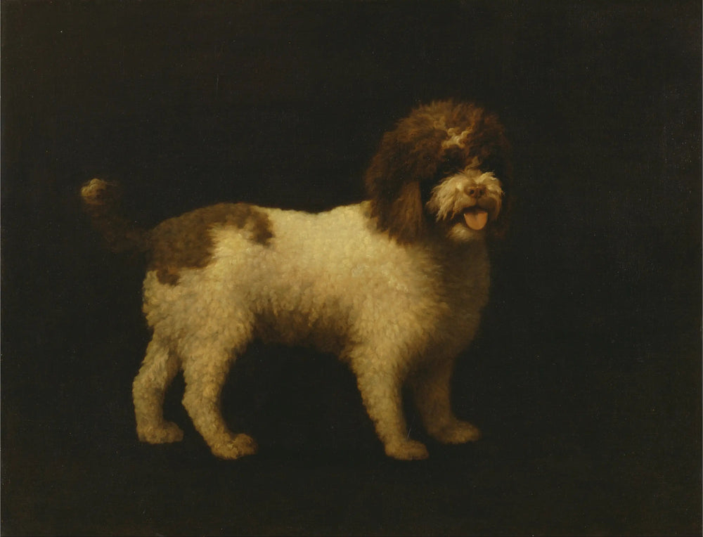 Épagneul d'eau - George Stubbs image 1 reproduction d’œuvre d’art à l’huile