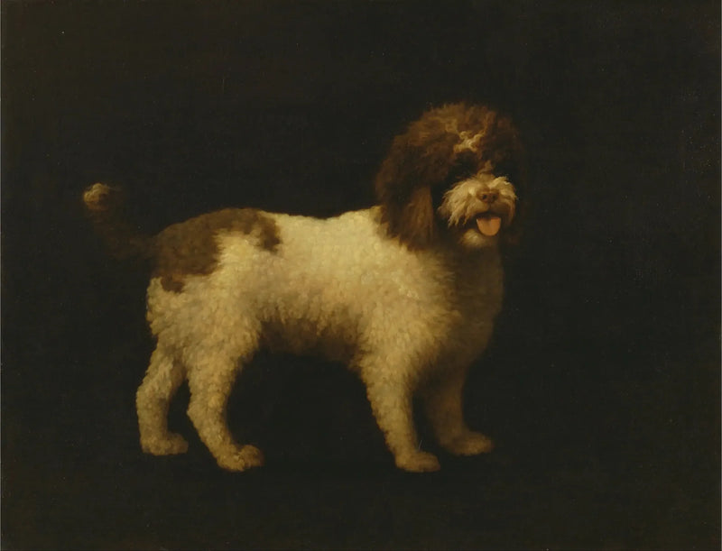 水鳥 - ジョージ・スタブス

Source:
Épagneul d'eau - George Stubbs