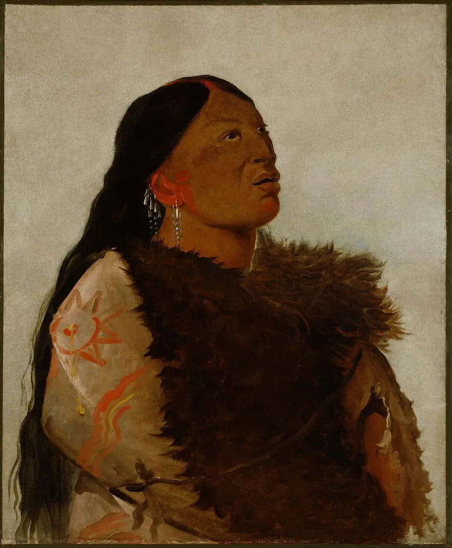 シックスの妻 - ジョージ・キャトリン

Source:
Épouse des Six - George Catlin