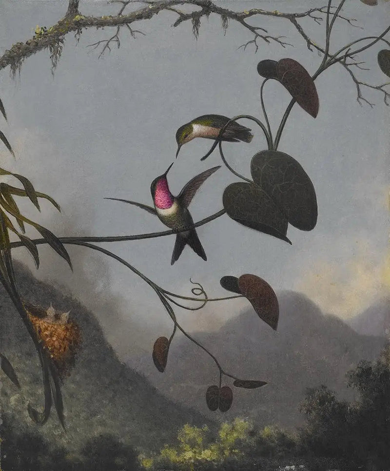 アメジストの森の星 - マーティン・ジョンソン・ヒード

Source:
Étoile des bois améthyste - Martin Johnson Heade