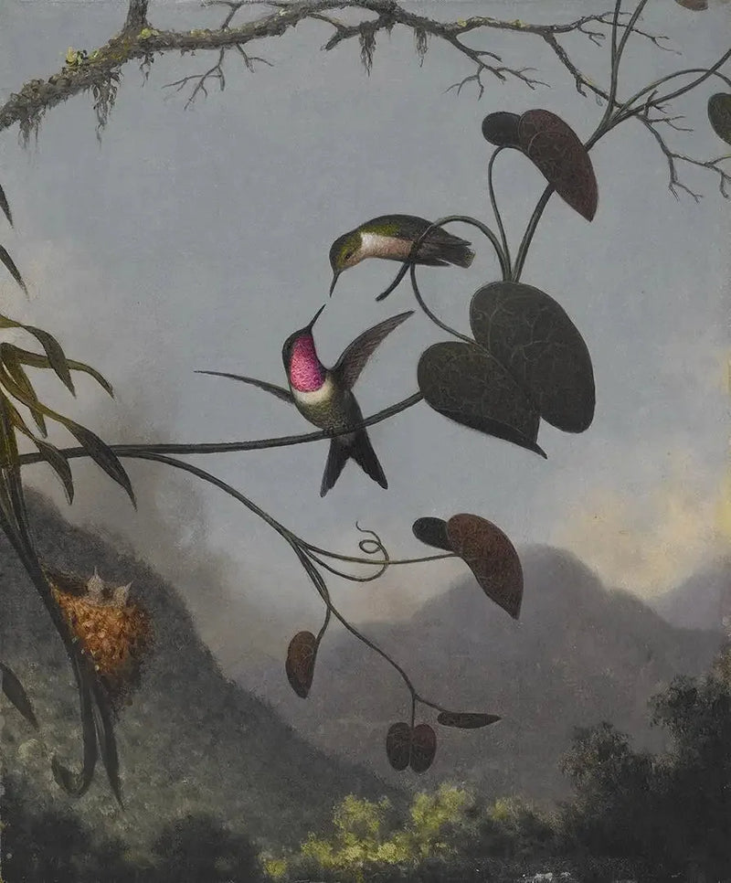 アメジストの森の星 - マーティン・ジョンソン・ヒード

Source:
Étoile des bois améthyste - Martin Johnson Heade