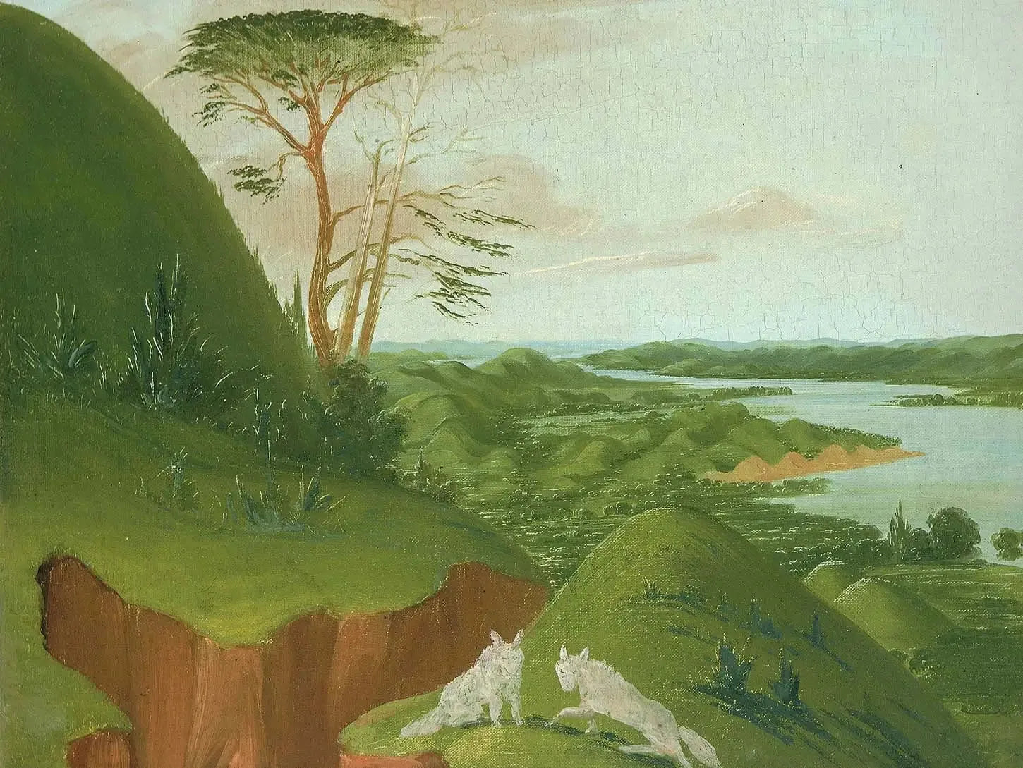 Falaises fluviales avec des loups blancs au premier plan, Haut-Missouri - George Catlin image 1 copie de tableau peinte à la main