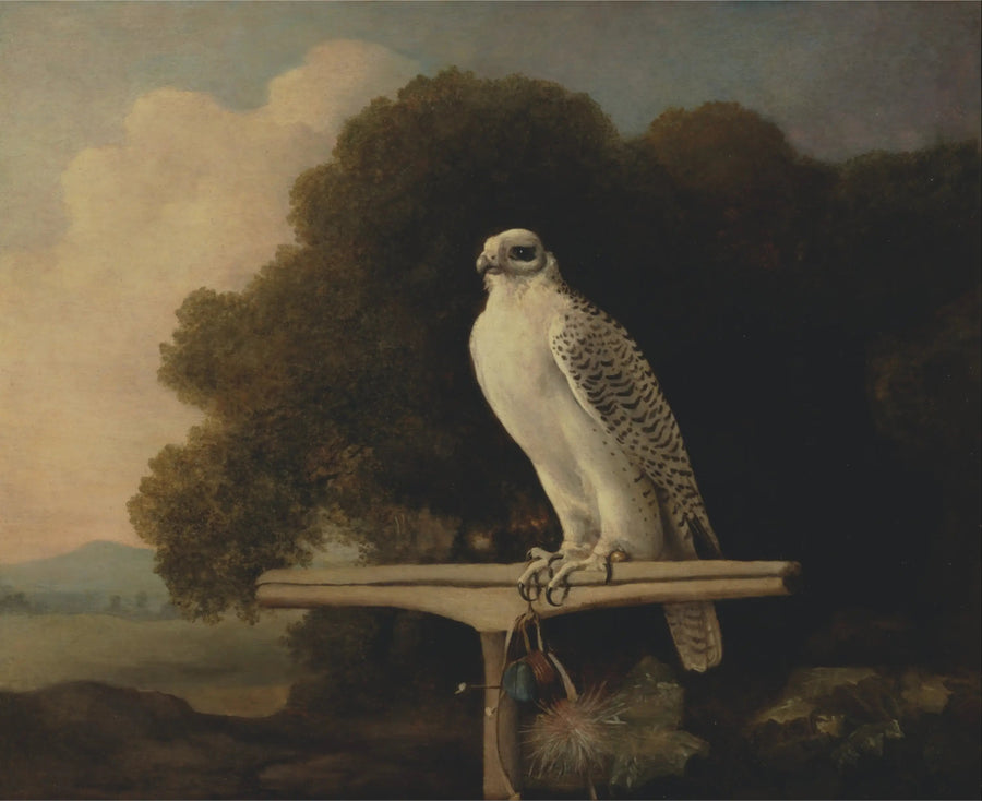 グリーンランドのハヤブサ - ジョージ・スタブス

Source:
Faucon du Groenland - George Stubbs
