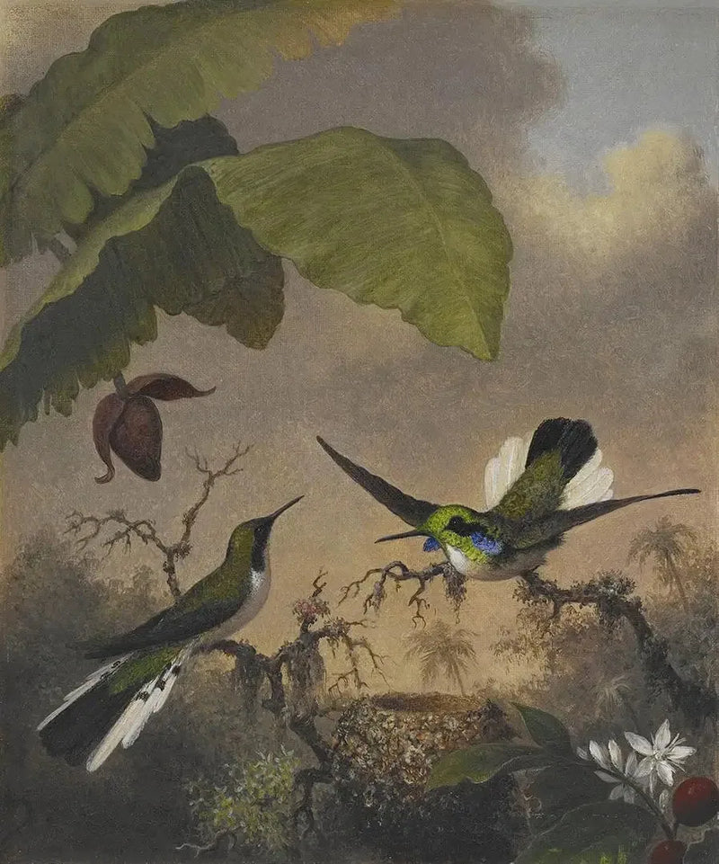 黒い耳の妖精 - マーティン・ジョンソン・ヒード

Source:
Fée aux oreilles noires - Martin Johnson Heade