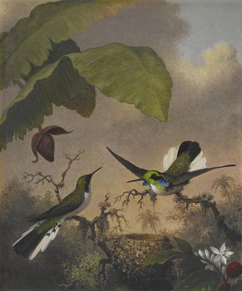 黒い耳の妖精 - マーティン・ジョンソン・ヒード

Source:
Fée aux oreilles noires - Martin Johnson Heade