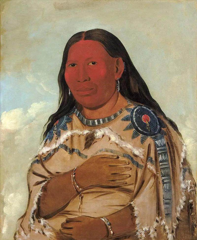 二羽のカラスの女性 - ジョージ・キャトリン

Source:
Femme de deux corbeaux - George Catlin