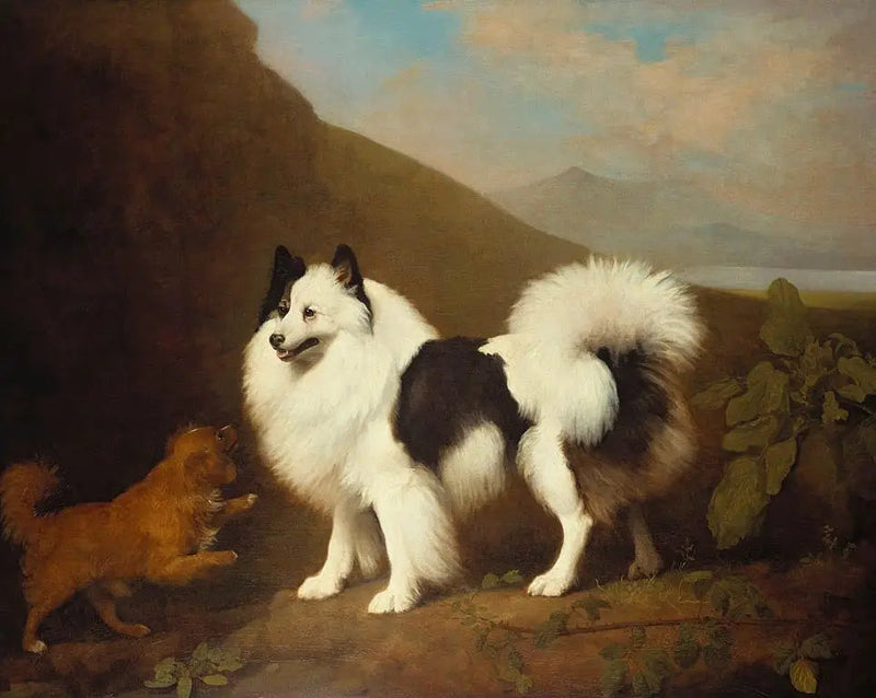 フィノとタイニー - ジョージ・スタッブス

Source:
Fino et Tiny - George Stubbs