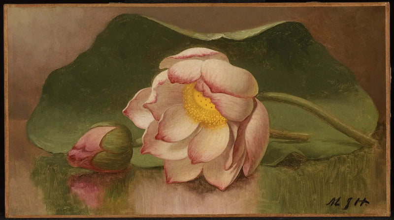 蓮の花 - マーティン・ジョンソン・ヒード

Source:
Fleur de lotus - Martin Johnson Heade