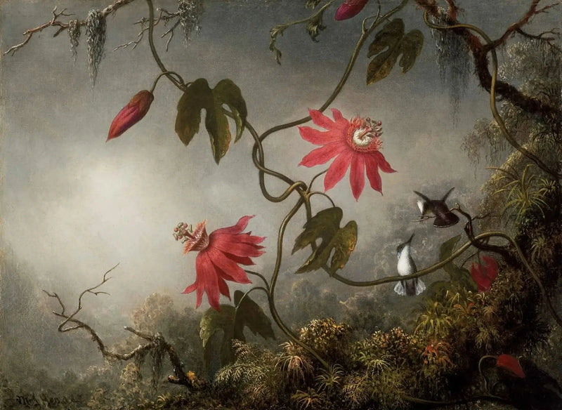 情熱の花とハチドリ - マーティン・ジョンソン・ヒード

Source:
Fleurs de la passion et Colibris - Martin Johnson Heade
