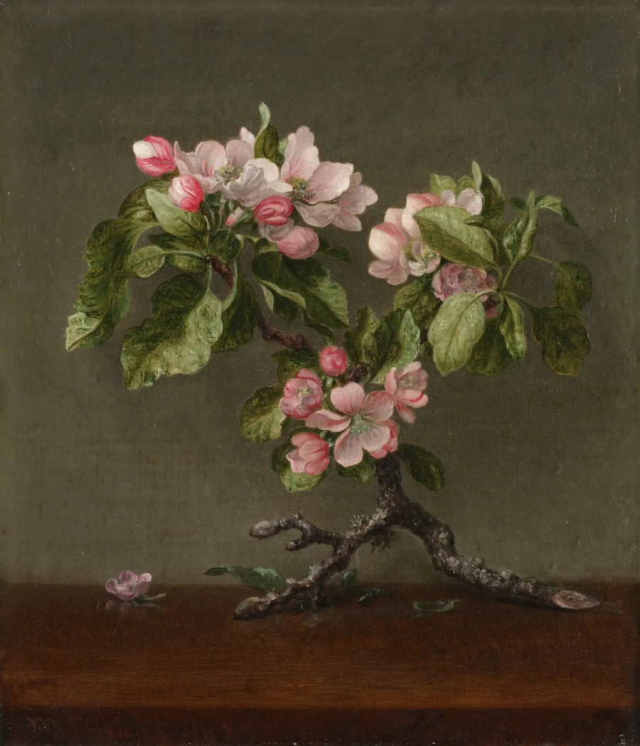 リンゴの花 - マーティン・ジョンソン・ヒード

Source:
Fleurs de pommier - Martin Johnson Heade