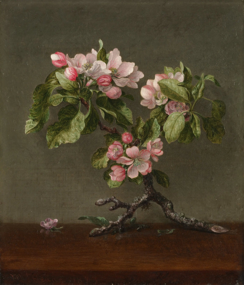 リンゴの花 - マーティン・ジョンソン・ヒード

Source:
Fleurs de pommier - Martin Johnson Heade