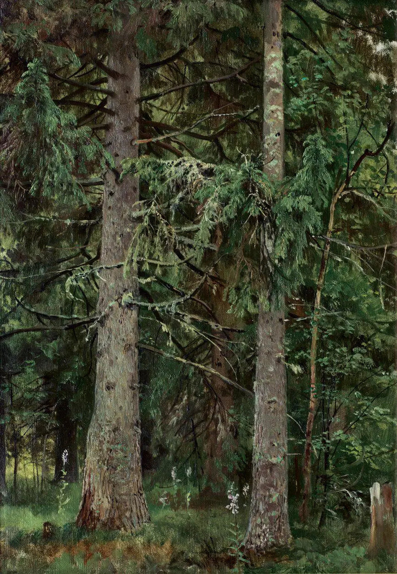 エゾマツの森 - イワン・チチキン

Source:
Forêt d'épicéas - Ivan Chichkine