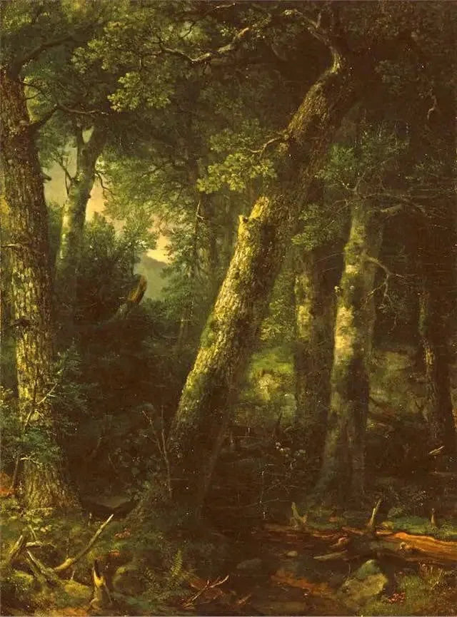朝の光の中の森 - アッシャー・ブラウン・デュランド

Source:
Forêt dans la lumière du matin - Asher Brown Durand