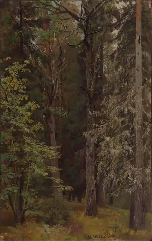 混合林 - イワン・チチキン

Source:
Forêt mixte - Ivan Chichkine