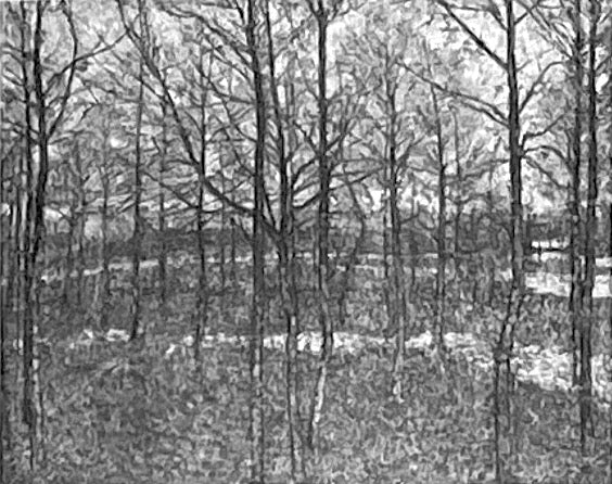 森林、春 - カジミール・マレーヴィチ

Source:
Forêt, Printemps - Kazimir Malevich